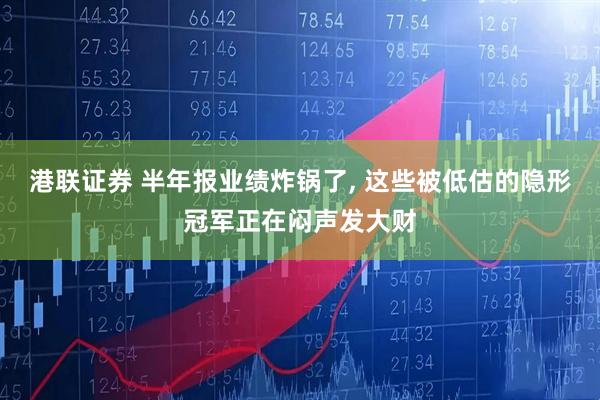 港联证券 半年报业绩炸锅了, 这些被低估的隐形冠军正在闷声发大财