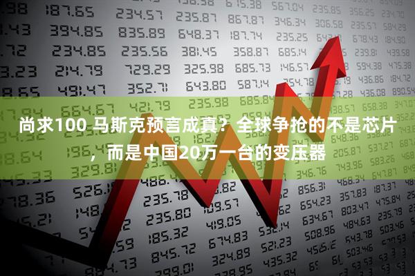 尚求100 马斯克预言成真？全球争抢的不是芯片，而是中国20万一台的变压器